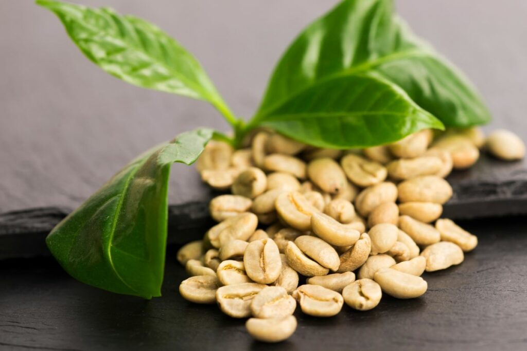 Manfaat Green Coffee Untuk Diet