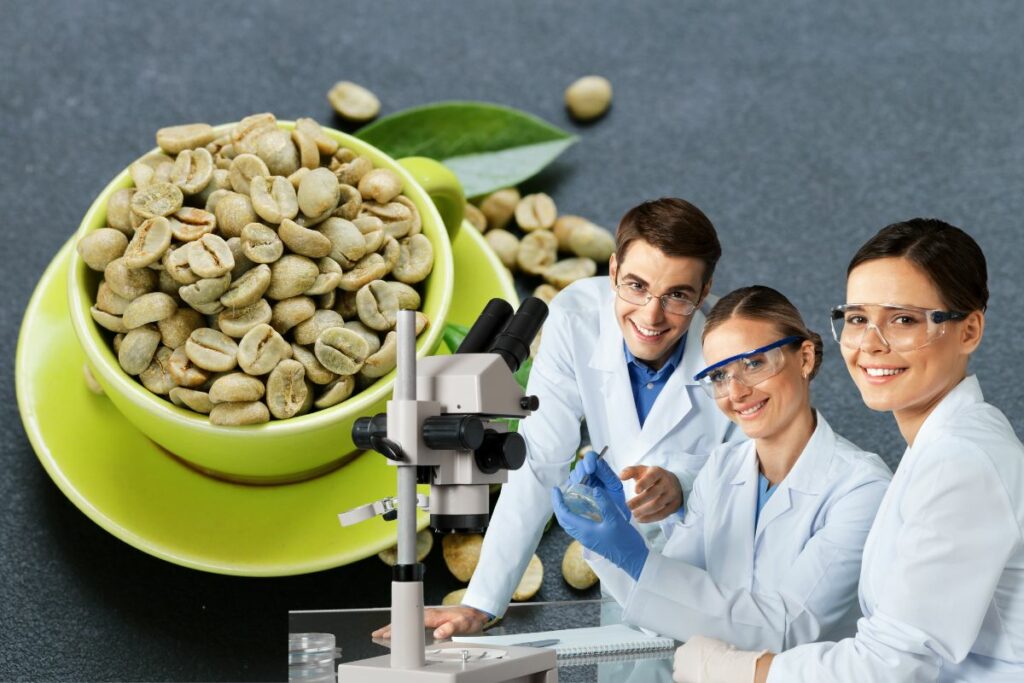 Manfaat Green Coffee Untuk Diet